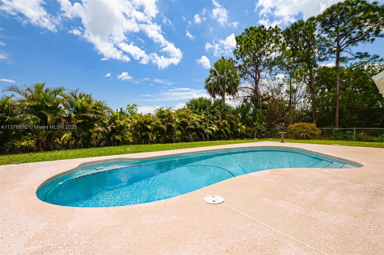 Sparkling pool with large patio and auto clean