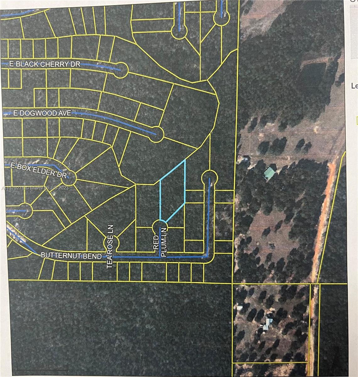 0 RED PLUM LN, Other City - In The State Of Florida, FL 32433