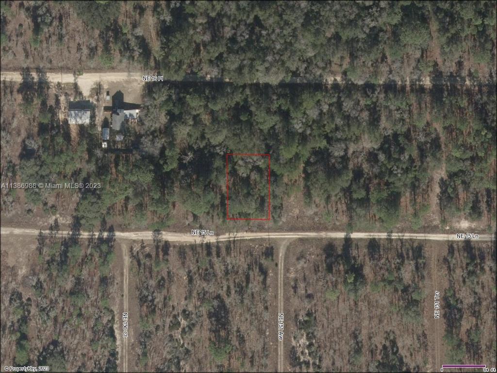 , Williston, FL 32696