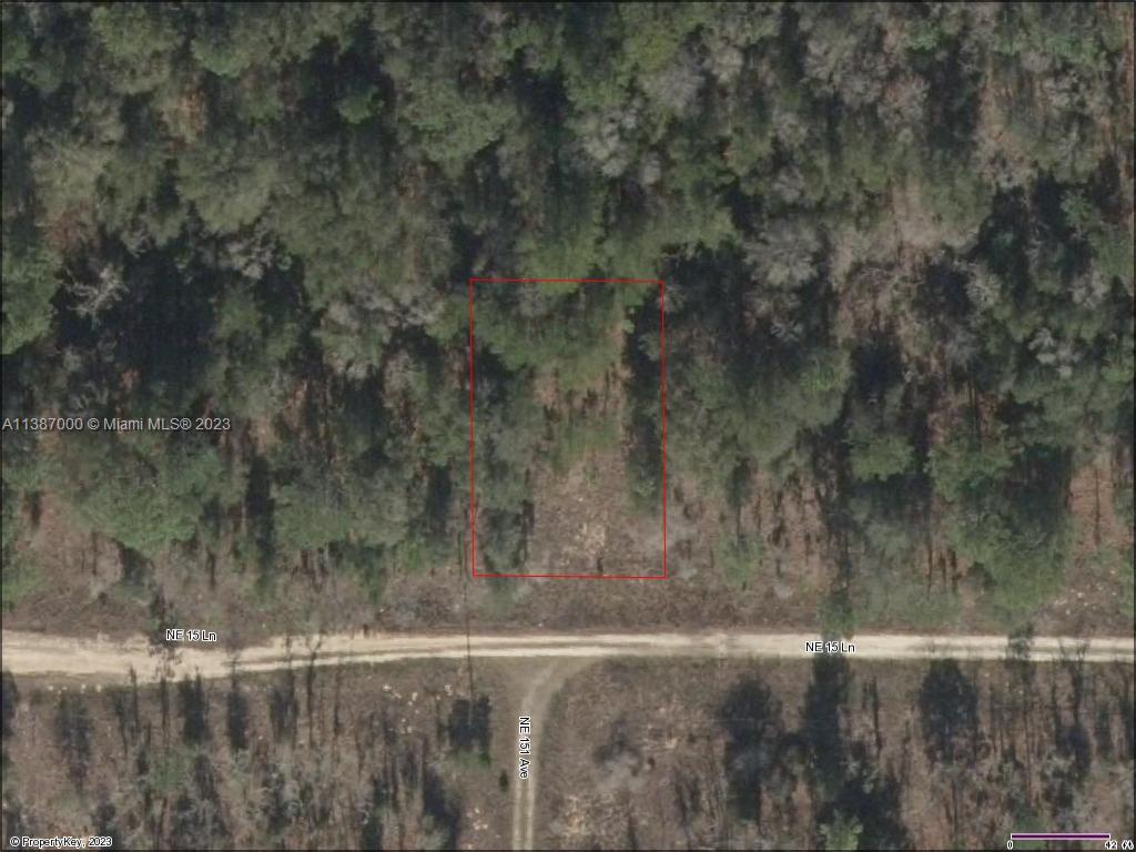 , Williston, FL 32696