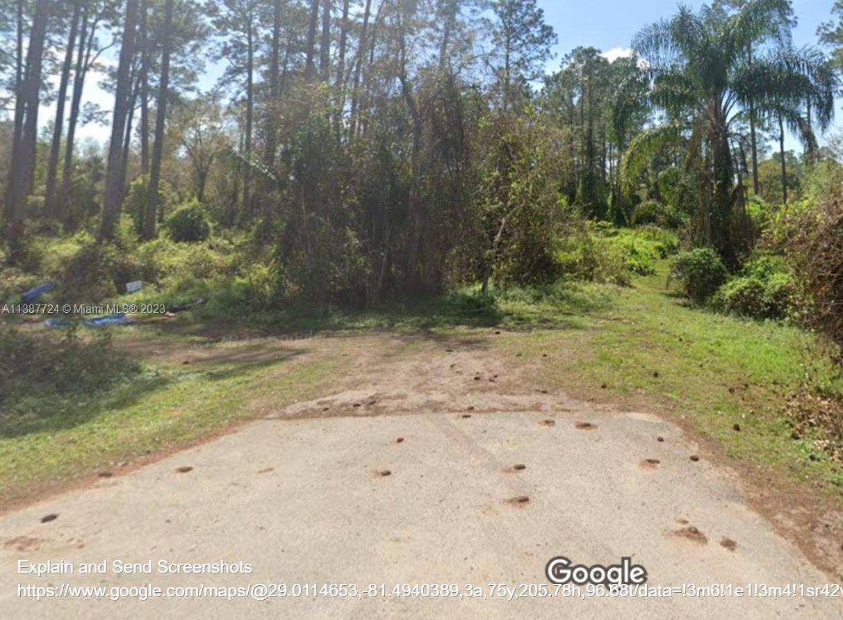 HIBISCUS AVE, Other City - In The State Of Florida, FL 32767