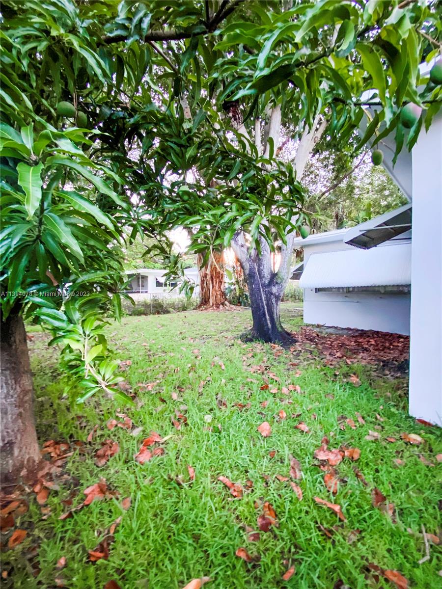 Listing Photo 11