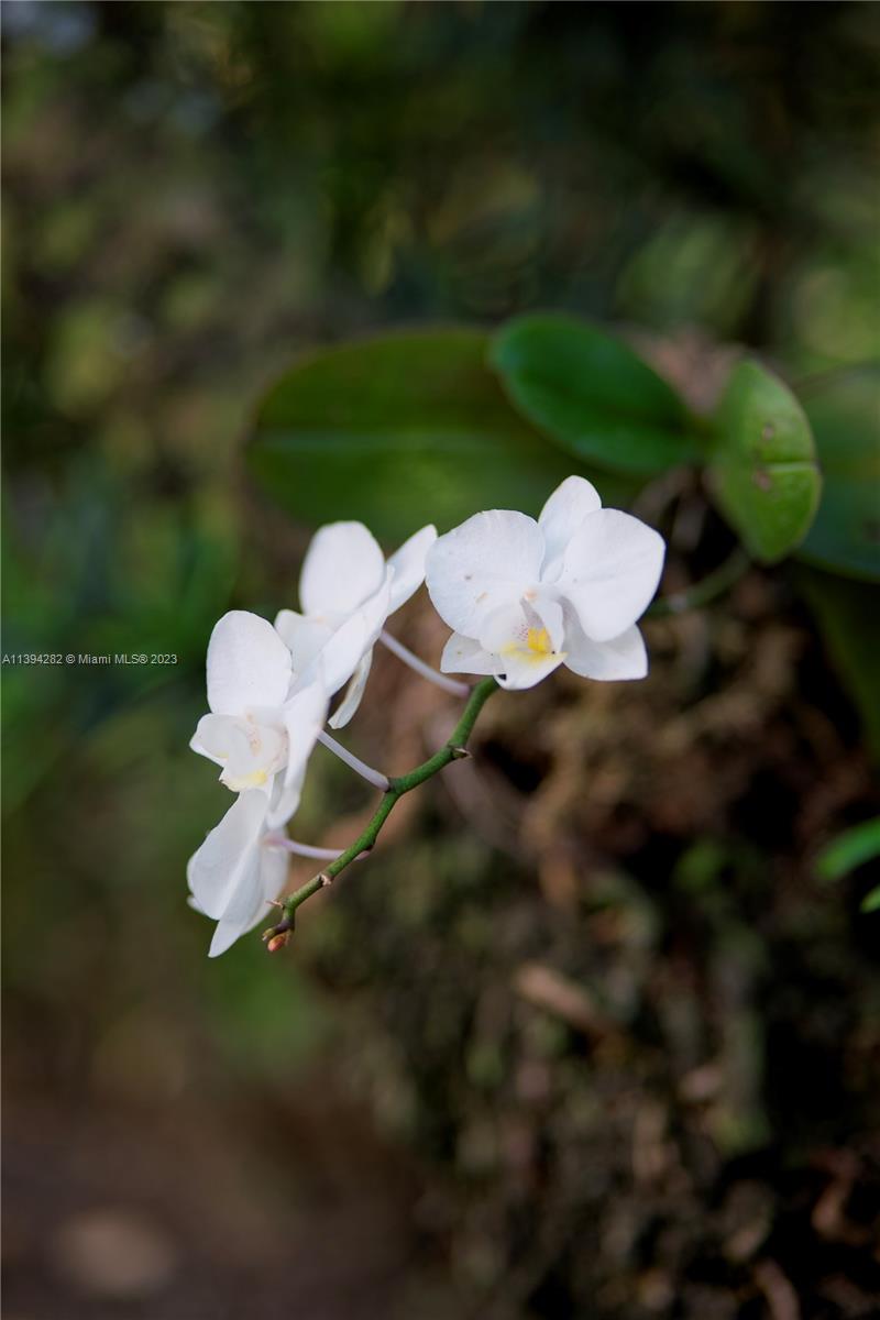 Listing Photo 47