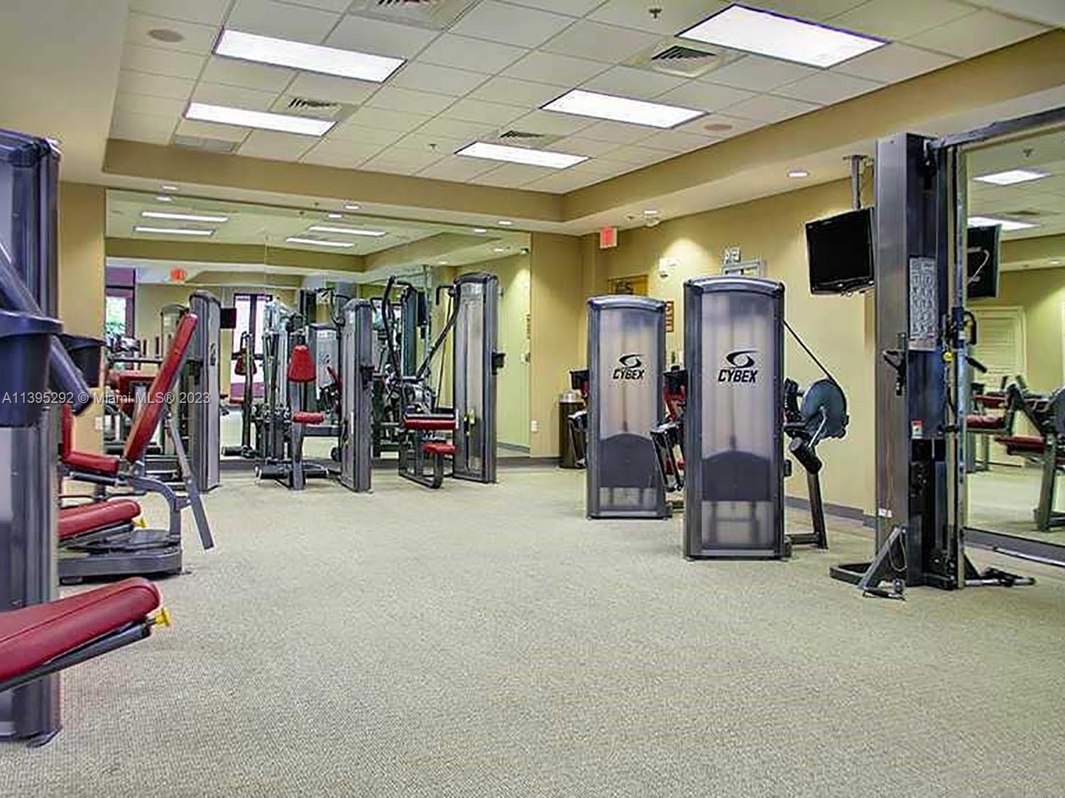 Gym