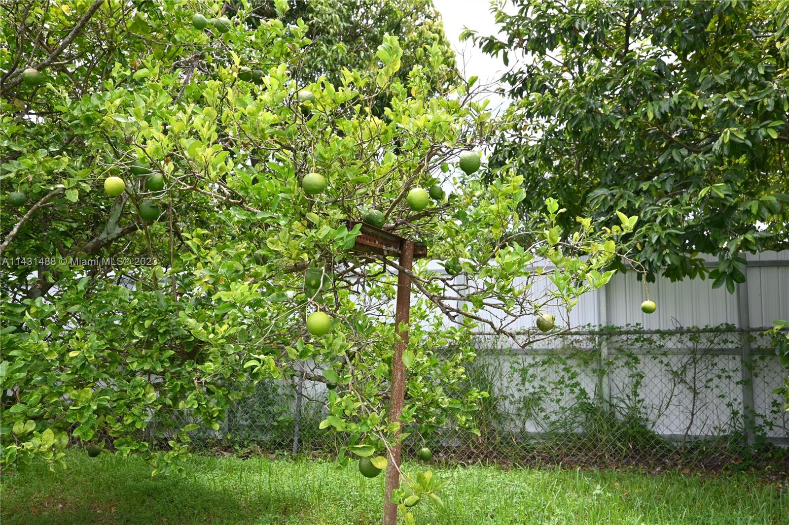 Listing Photo 7