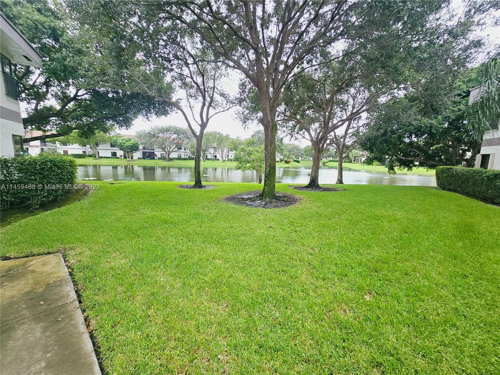 Yard
