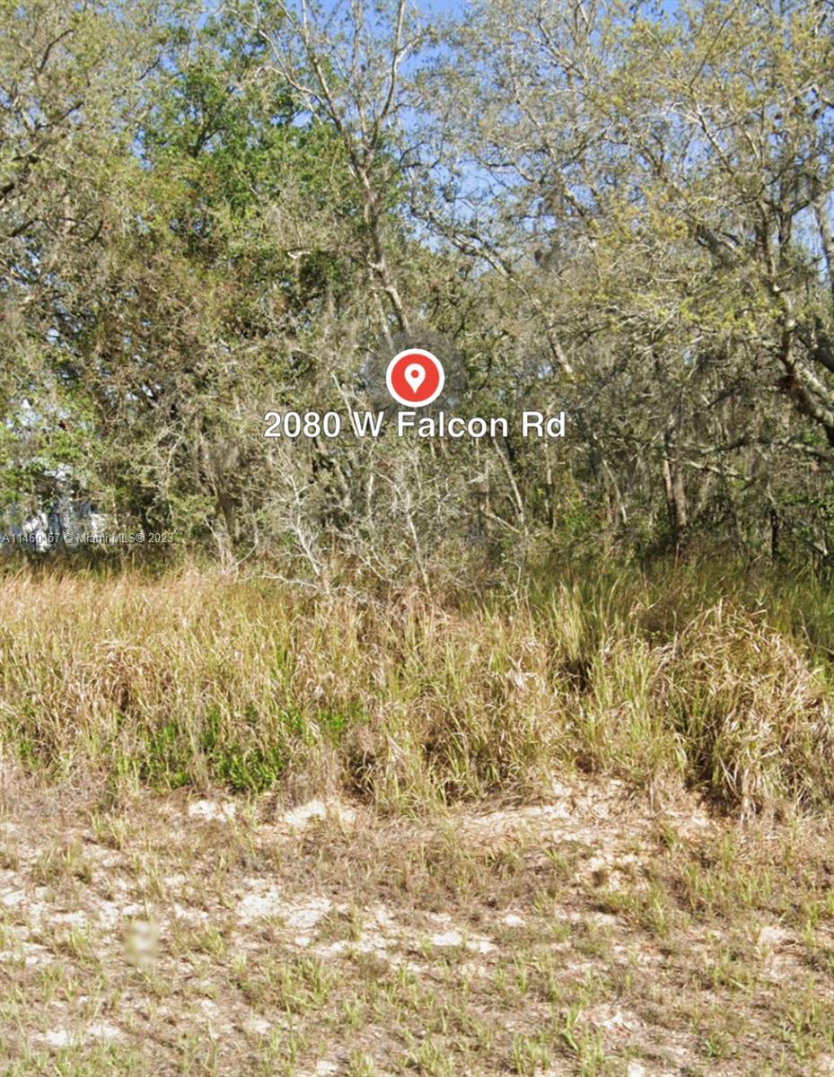 2080 W FALCON RD, Other City - In The State Of Florida, FL 33825