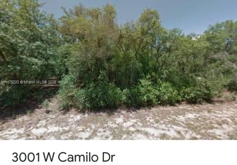 3001 W Camilo, Citrus Springs, FL 34434