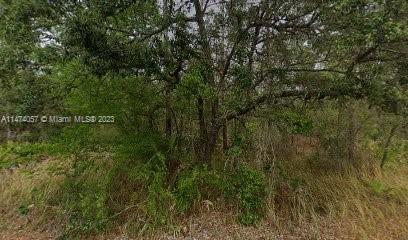 7343 HELSINLI, Other City - In The State Of Florida, FL 34433