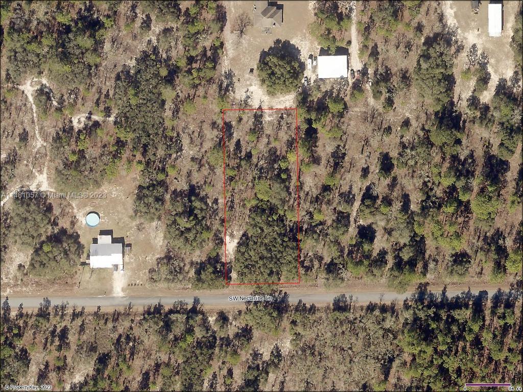Lot 33 SW Nectarine Ln, Other City - In The State Of Florida, FL 34431