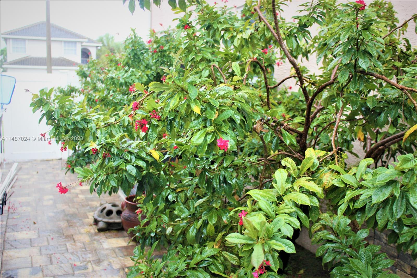 Listing Photo 94