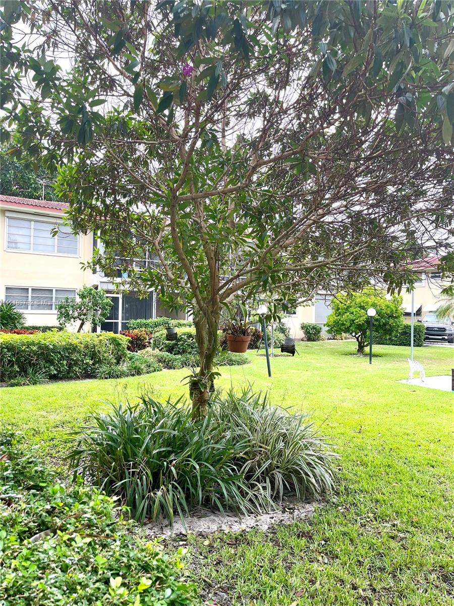 2202 NE 36th Street 17, Lighthouse Point, FL 33064 Divvy RenttoOwn