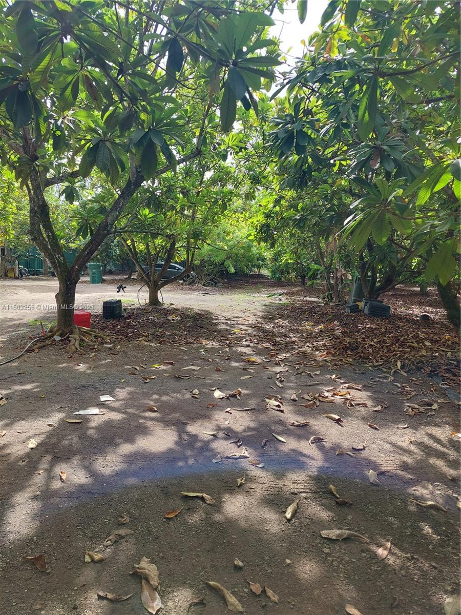 20900 SW 376th St, Homestead, Florida 33034, 4 Bedrooms Bedrooms, ,2 BathroomsBathrooms,Residential,For Sale,20900 SW 376th St,A11503258
