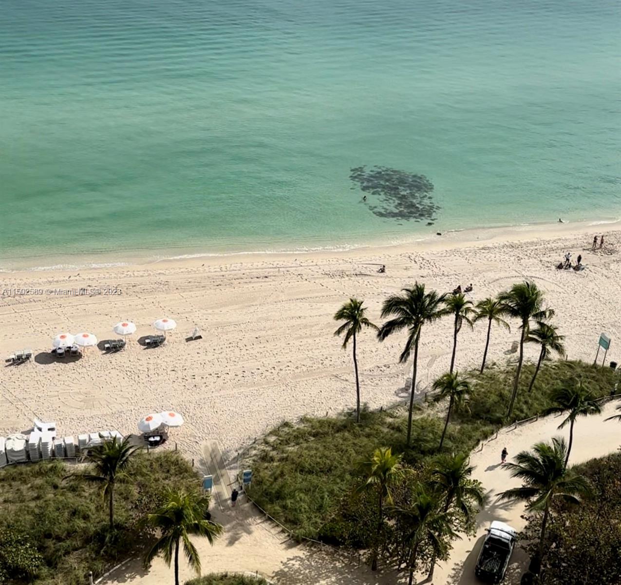 9601 Collins Ave 1705, Bal Harbour, Florida 33154, 2 Bedrooms Bedrooms, ,2 BathroomsBathrooms,Residentiallease,For Rent,9601 Collins Ave 1705,A11502589