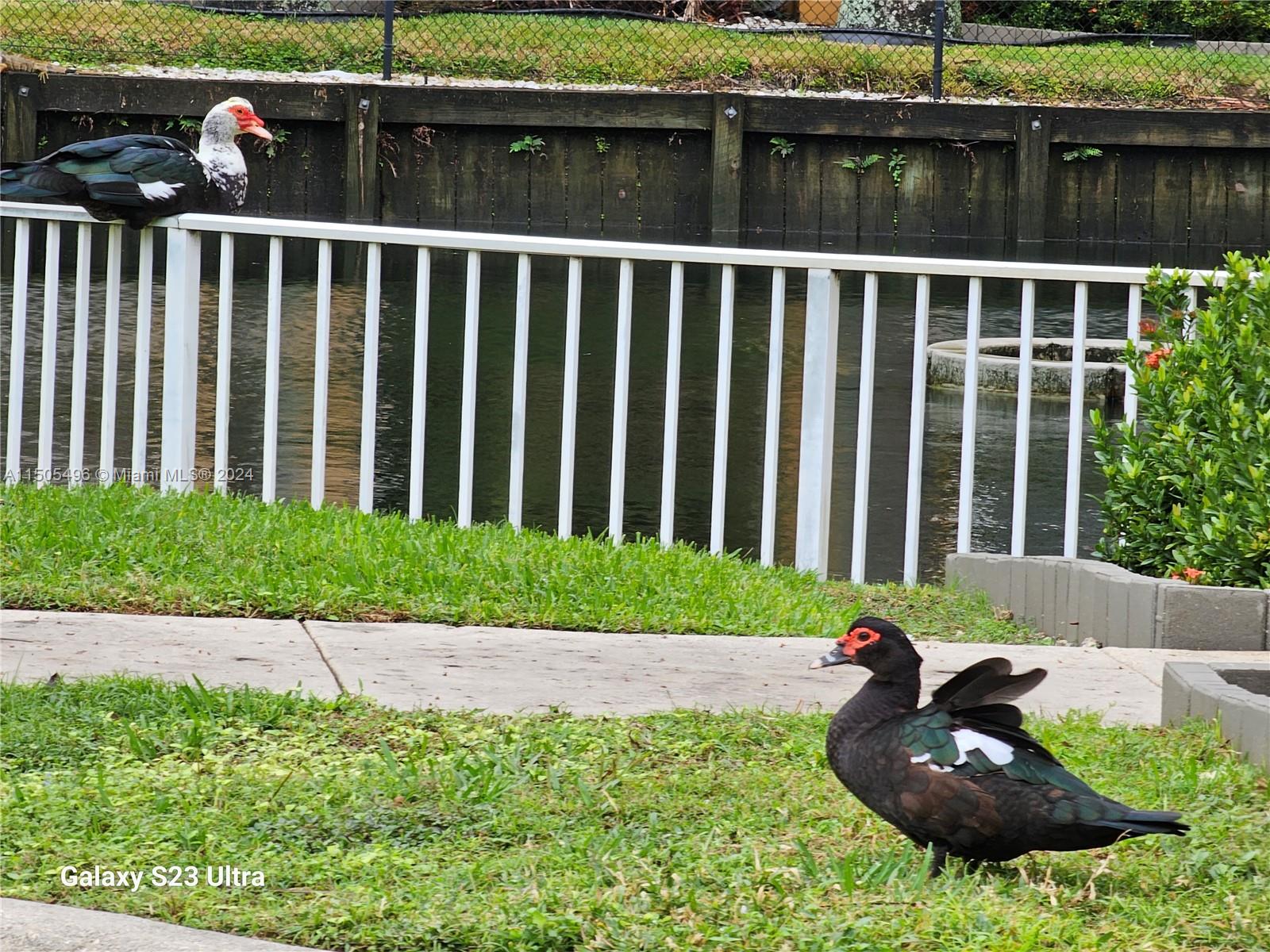 Dania Beach, Florida 33004, 1 Bedroom Bedrooms, ,1 BathroomBathrooms,Residentiallease,For Rent,A11505496