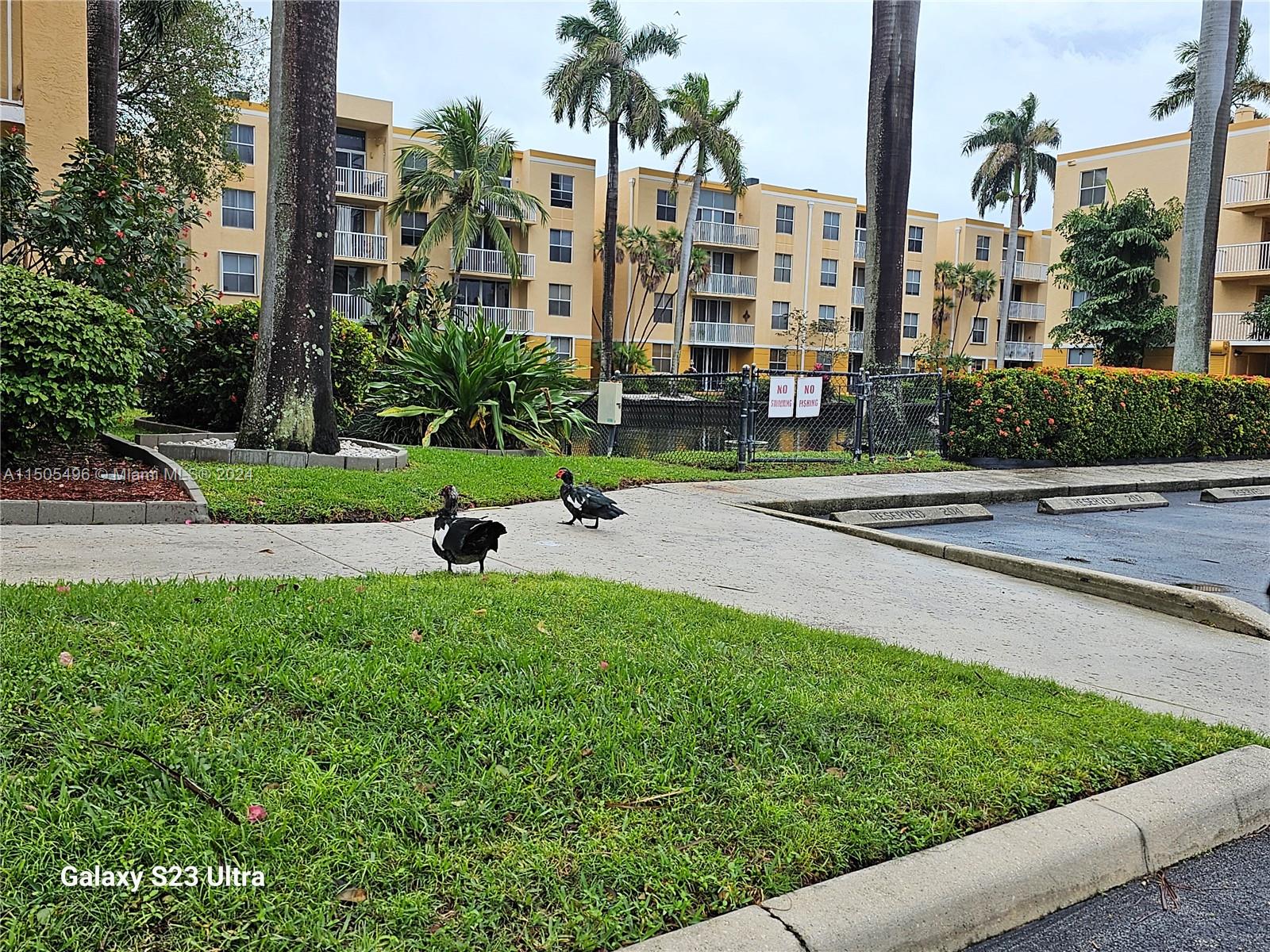 Dania Beach, Florida 33004, 1 Bedroom Bedrooms, ,1 BathroomBathrooms,Residentiallease,For Rent,A11505496