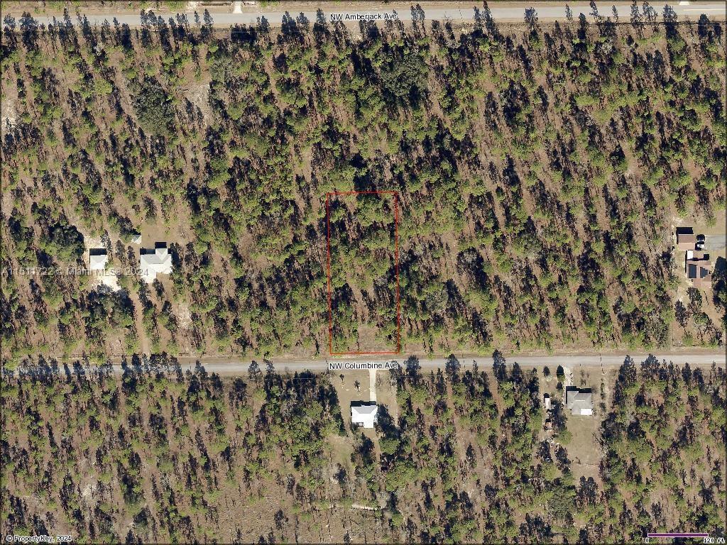 Lot 24 NW Columbine Ave, Other City - In The State Of Florida, FL 34431