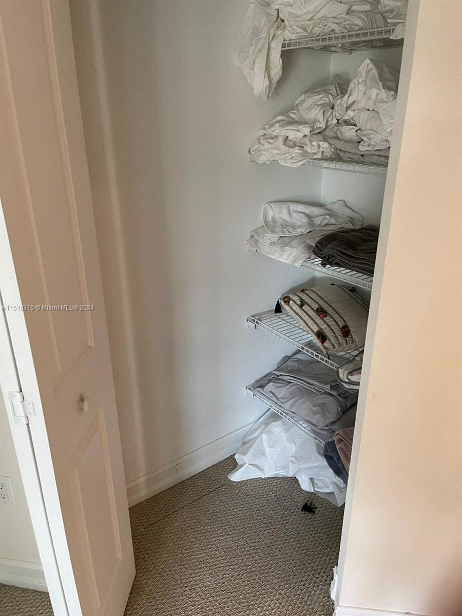 Hallway linen closet.