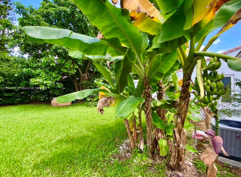 4619 SW 10th St ., Miami, Florida 33134, 3 Bedrooms Bedrooms, ,2 BathroomsBathrooms,Residentiallease,For Rent,4619 SW 10th St .,A11514697