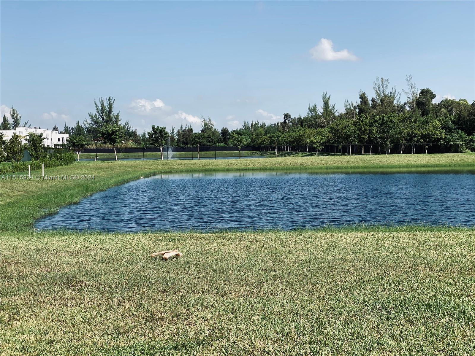 West view of the lake