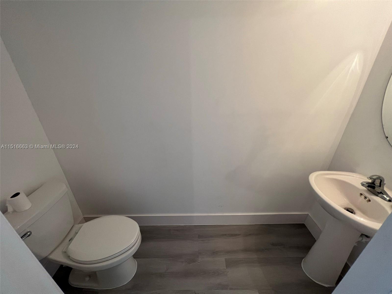 Powder room downstairs
