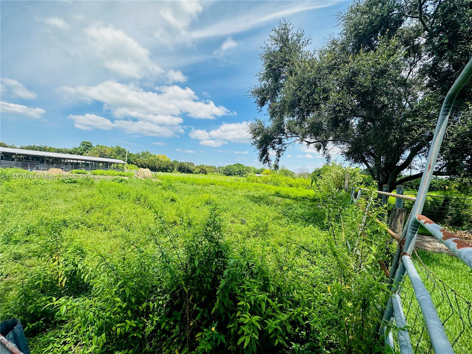 Pasture