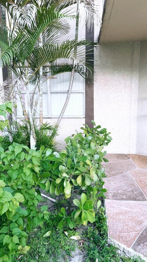 6200 S Falls Cir Dr 305, Lauderhill, Florida 33319, 1 Bedroom Bedrooms, ,2 BathroomsBathrooms,Residential,For Sale,6200 S Falls Cir Dr 305,A11518530