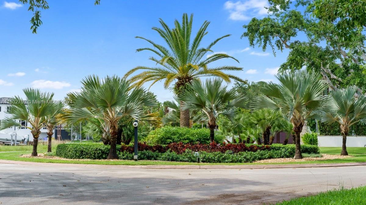 1 Leucadendra, Coral Gables, Florida 33156, ,Land,For Sale,1 Leucadendra,A11532709
