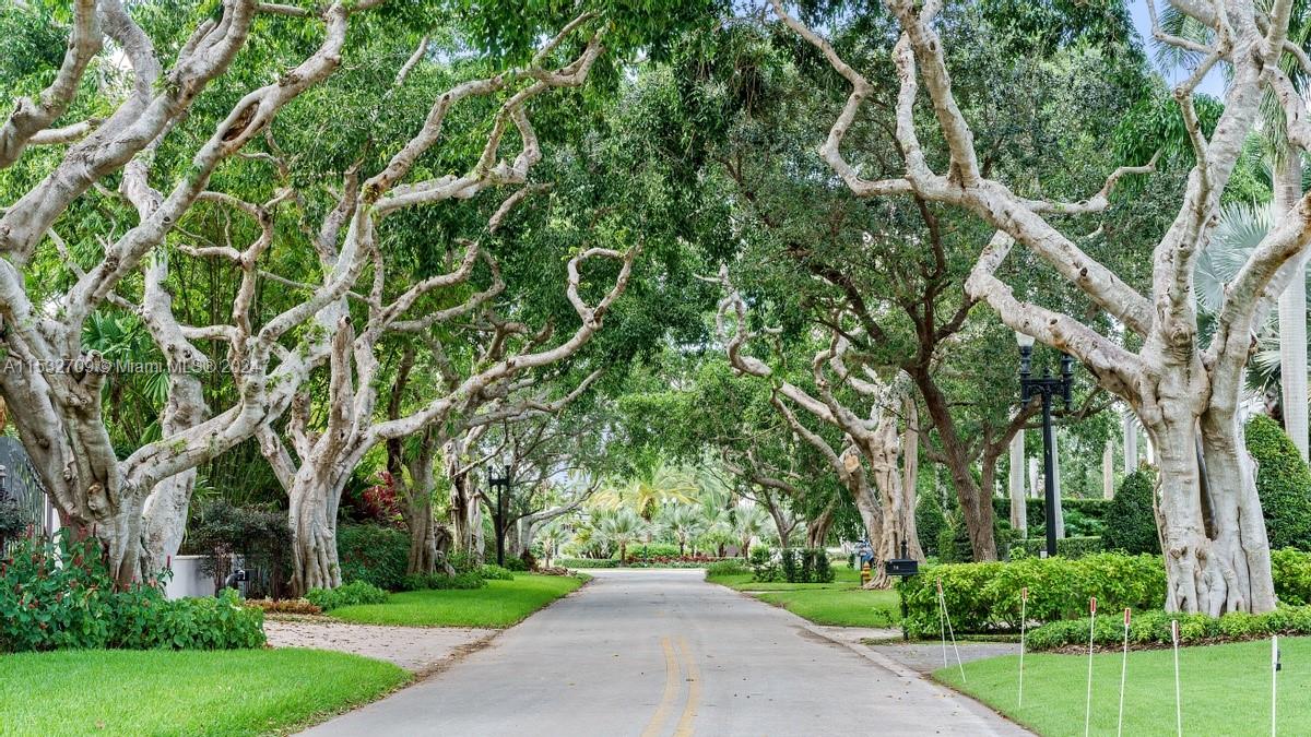 1 Leucadendra, Coral Gables, Florida 33156, ,Land,For Sale,1 Leucadendra,A11532709