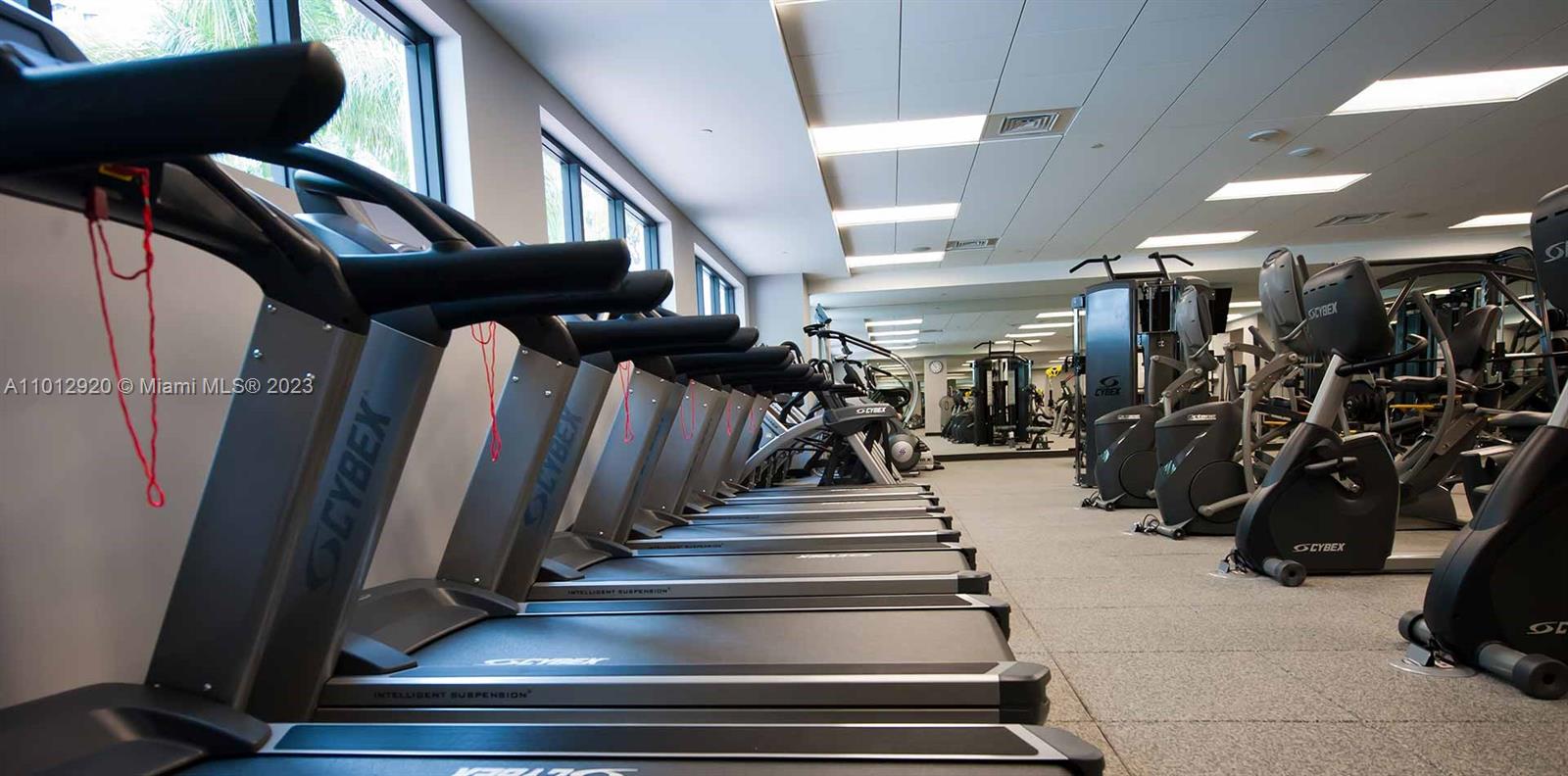 Gym