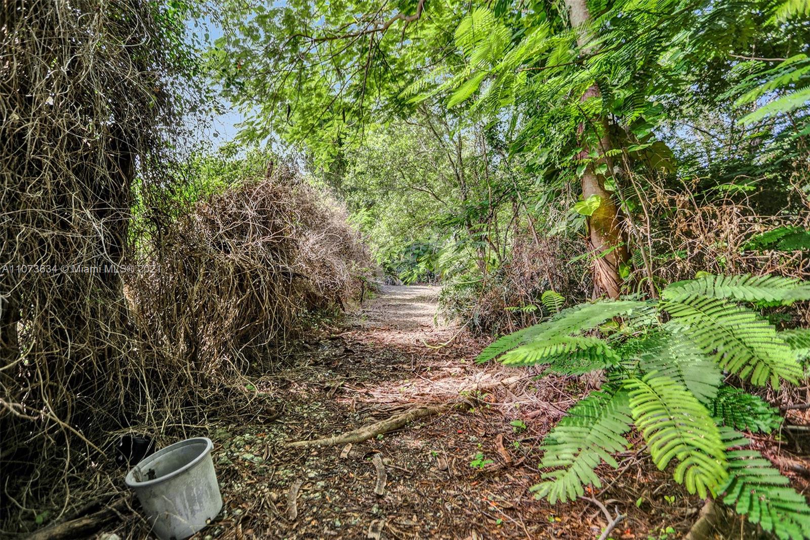 Lots of mature landscaping