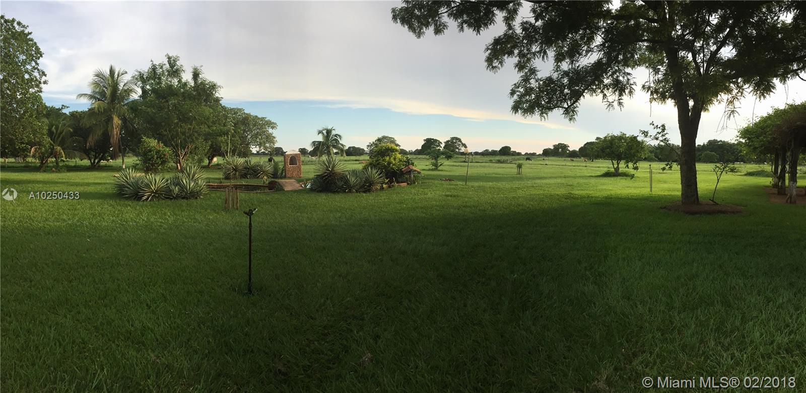 Garden in front of main house