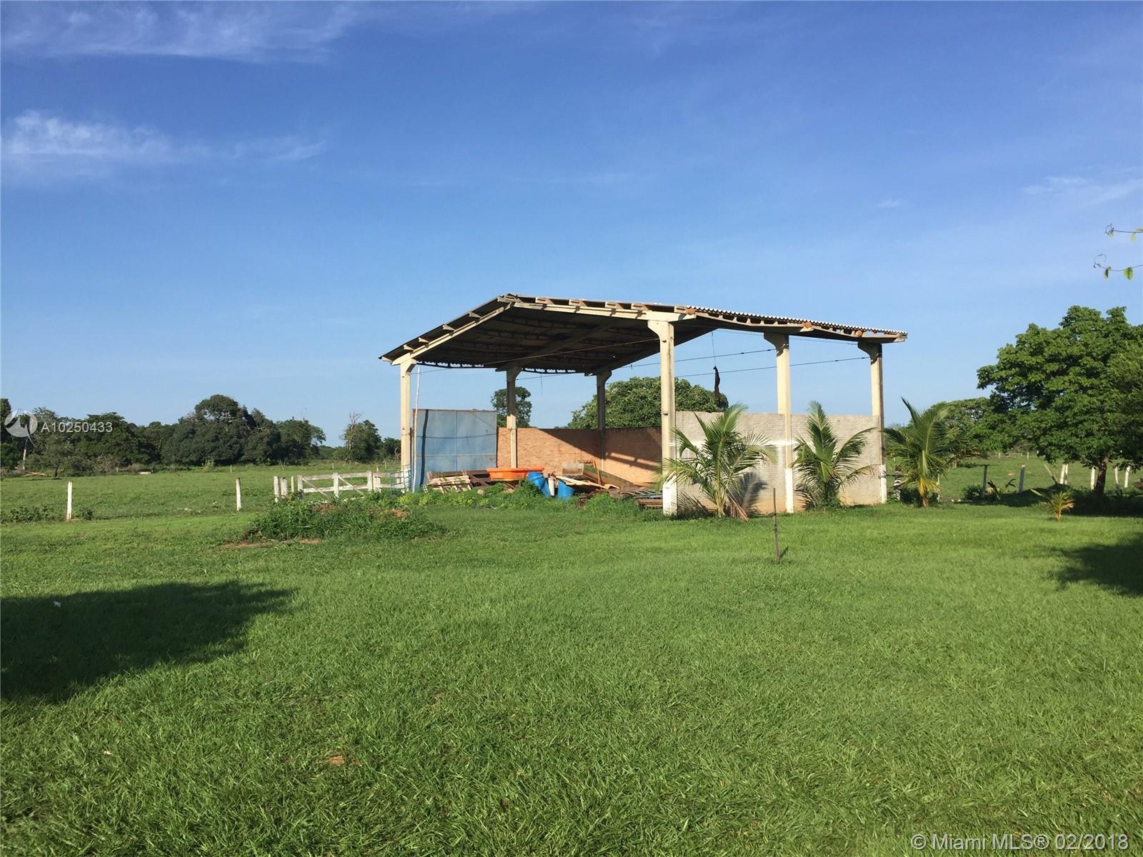 AirPlane garage , grass field