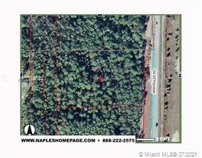   338200 IMMOKALEE RD.  For Sale A10334844, FL