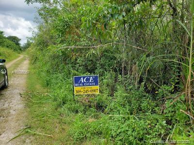 Miami, FL 33034,20295 SW 396 st