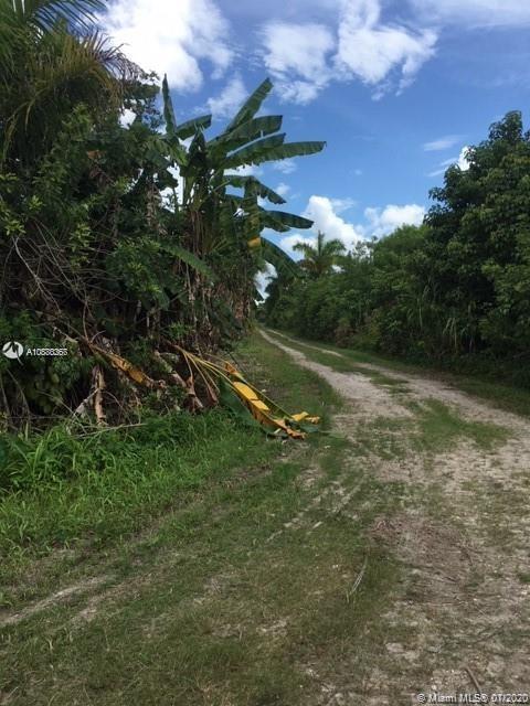 Miami, FL 33034,20295 SW 396 st