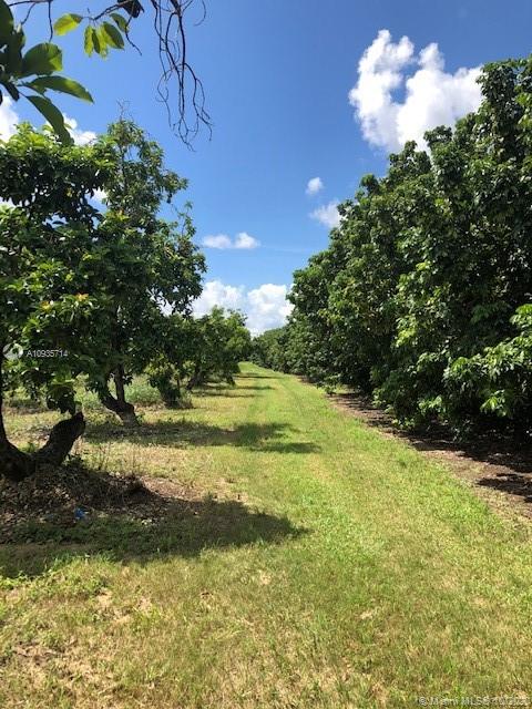 Homestead, FL 33034,20700 SW 328
