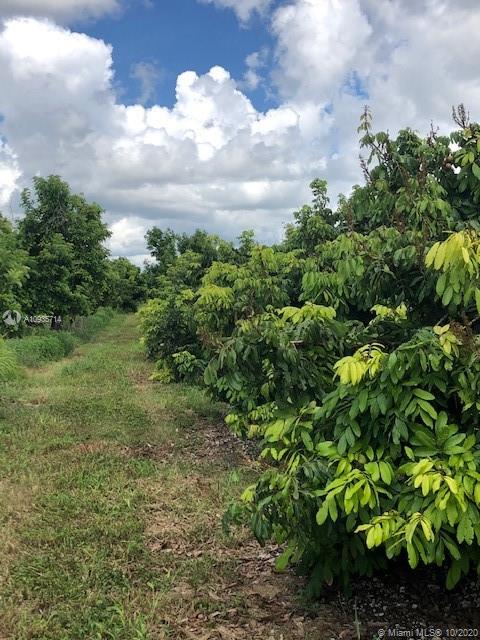 Homestead, FL 33034,20700 SW 328