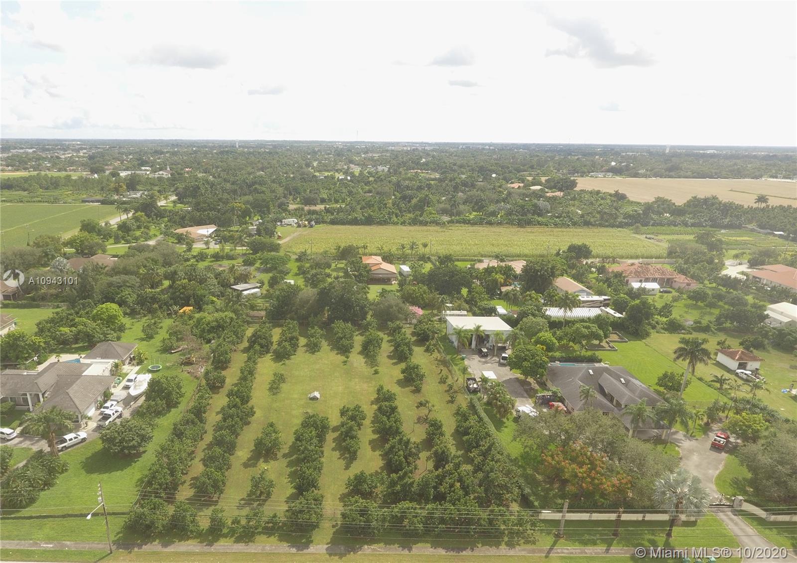 Highly sought-after 1.25 acre buildable lot with an ag exemption from an income producing avocado grove which currently allows for very low property taxes. This is a beautiful homesite which is ready for its new owner to realize their dream. Prime Redland location, completely fenced with irrigation. It appears the grove includes three varieties of avocados, Simmonds, Donnies and Catalinas. Simmonds are one of Florida's best, Donnies are known for being very large, tasty and usually early season avocados which can be harvesting before hurricane season. It has been said that Catalinas are the standard for which all other avocados are compared. Don't miss this opportunity, contact the listing agent today for more details. No trespassing please, shown by appointment.