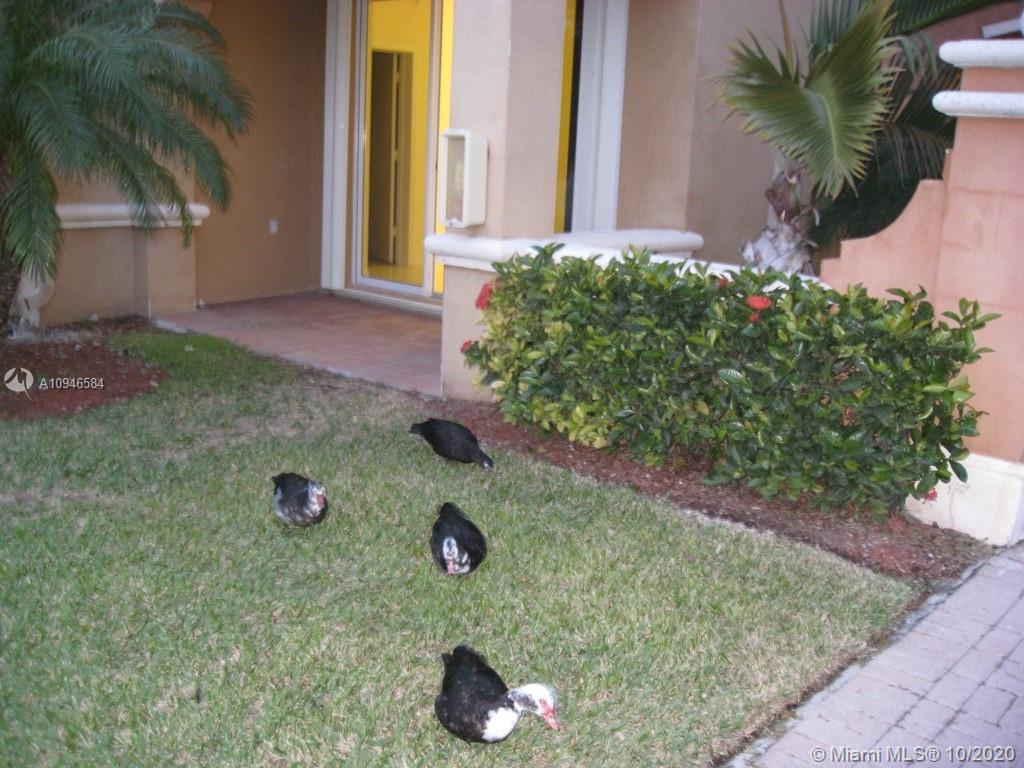 Property photo # 9