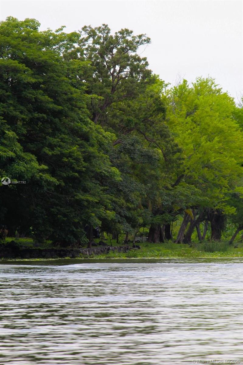 View from lake.