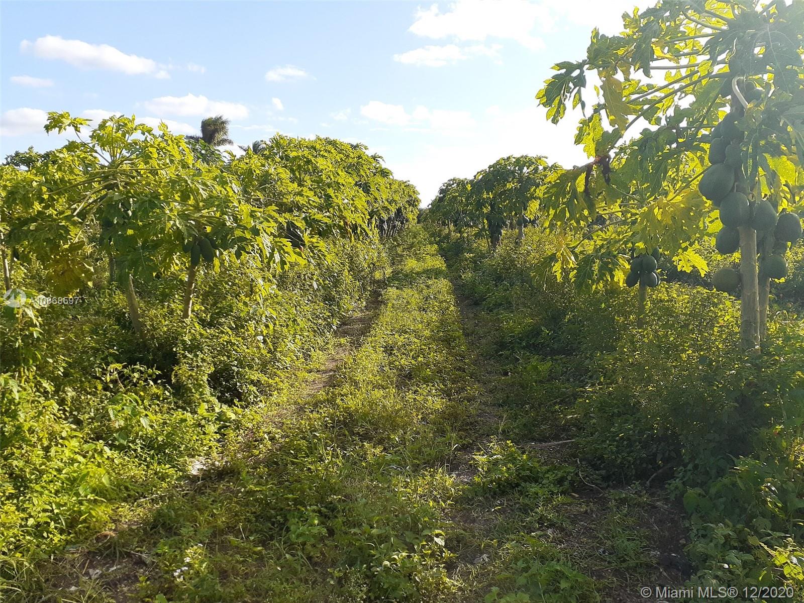 S.W.152nd St SW 164th Rd, Miami, FL 33187