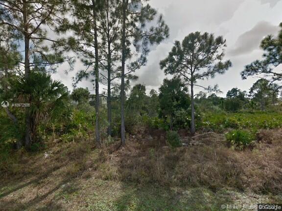 Lehigh Acres, FL 33971,3307 58TH ST W