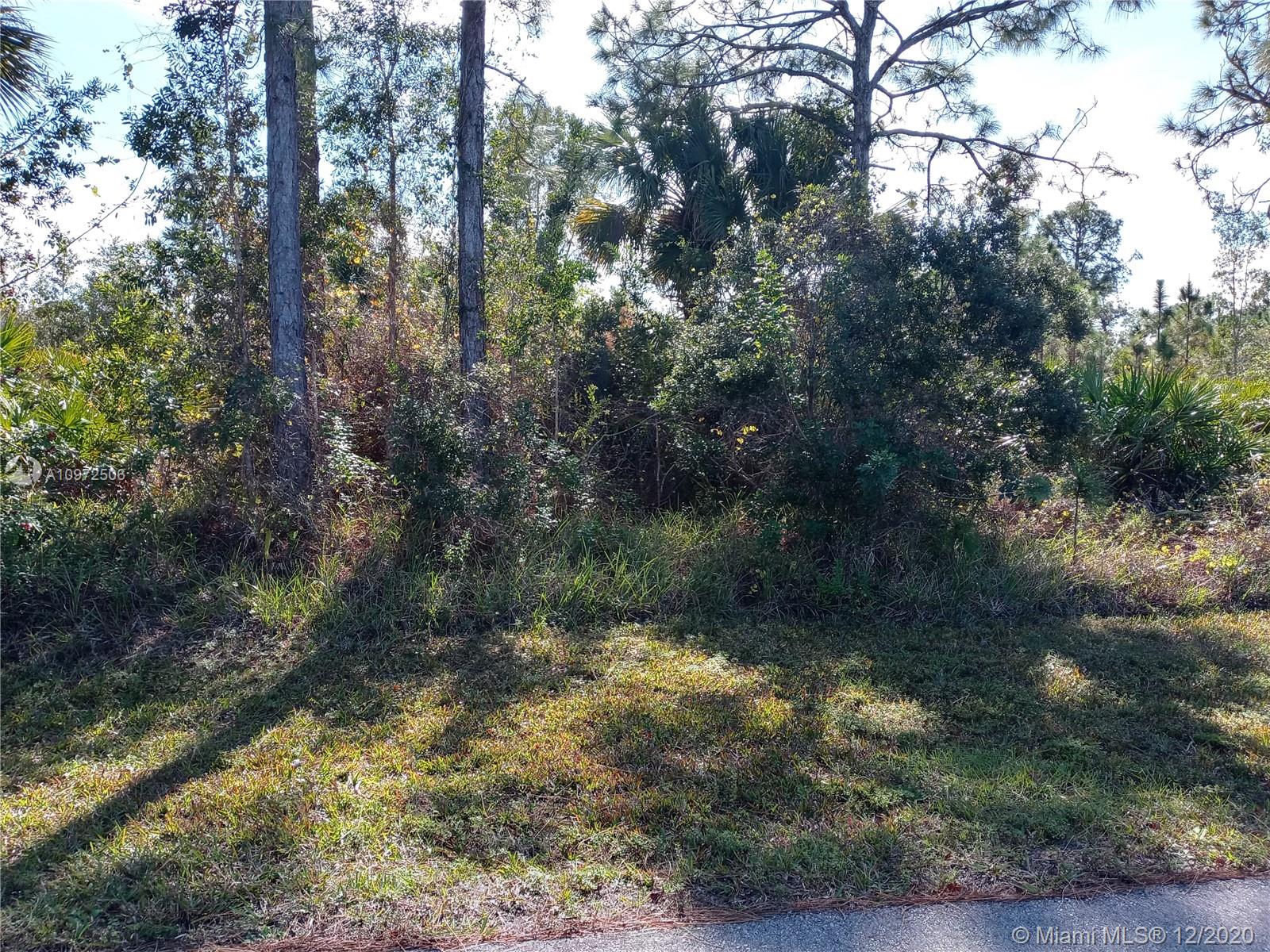 Lehigh Acres, FL 33971,3307 58TH ST W