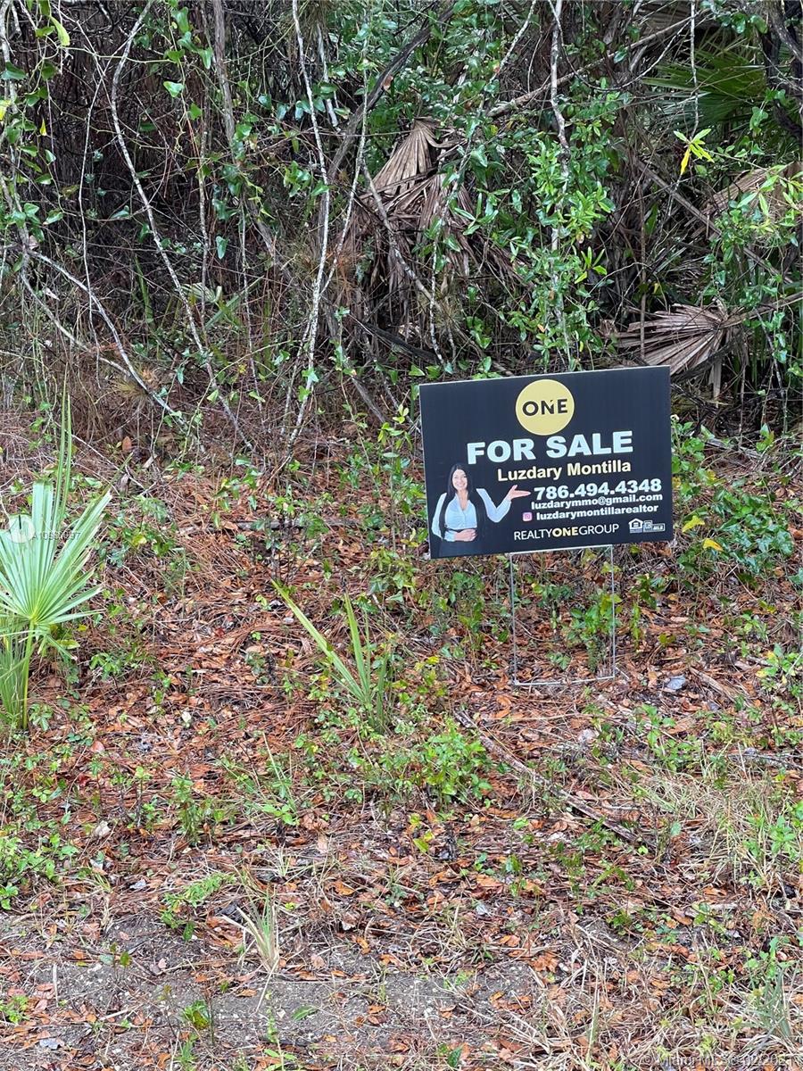 14282 Montmarte Ave,  Port Charlotte,  FL 33981