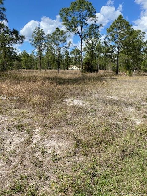 Lehigh Acres, FL 33936,109 MOORE AVE