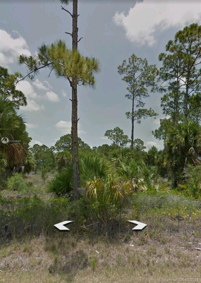 545 S kennel, Clewiston, FL 33440