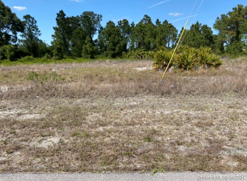 3602 29th STREET SW, Other City - In The State Of Florida, FL 33976