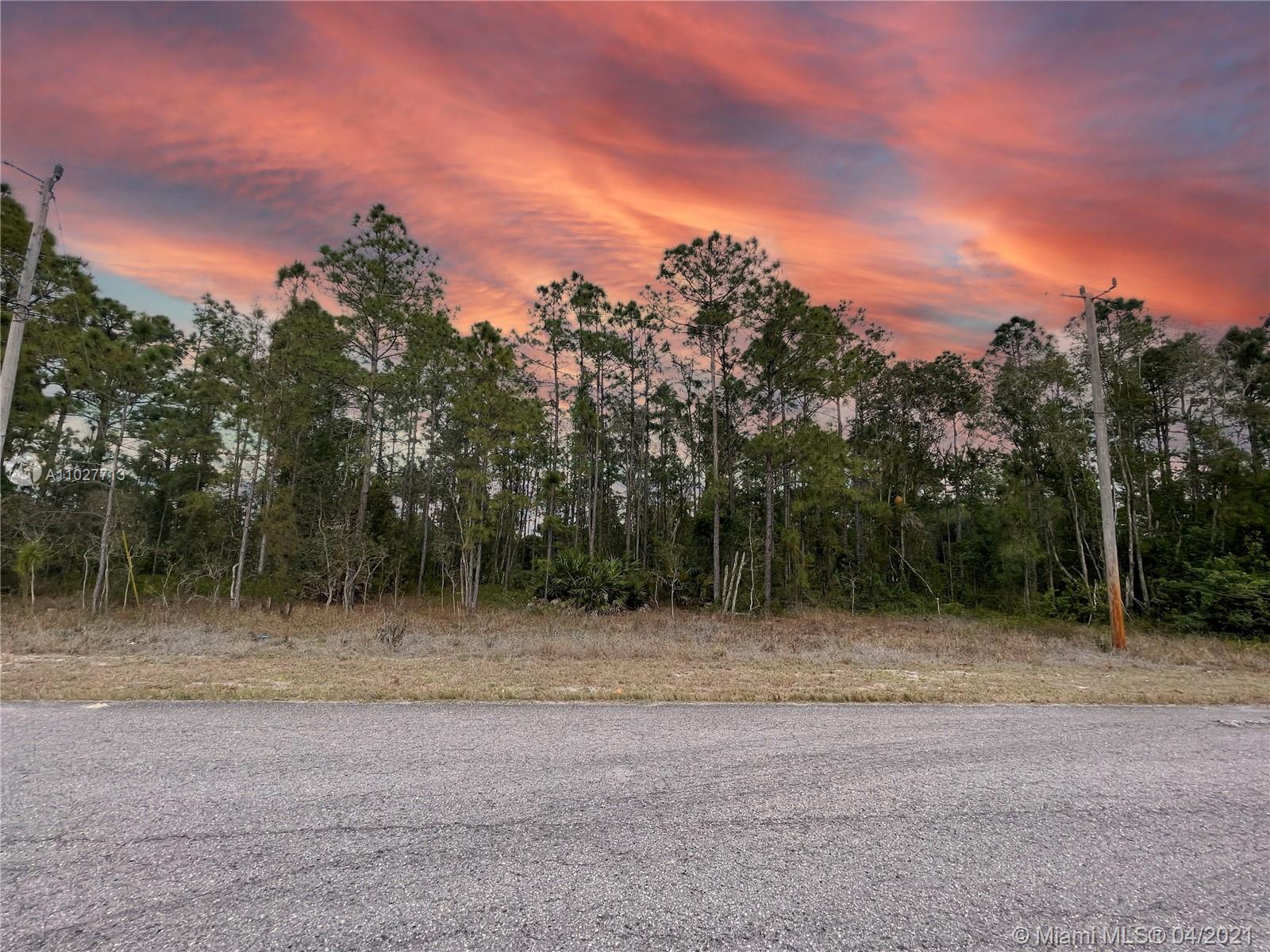 807 Glen Coy Ave, Lehigh Acres, FL 33974