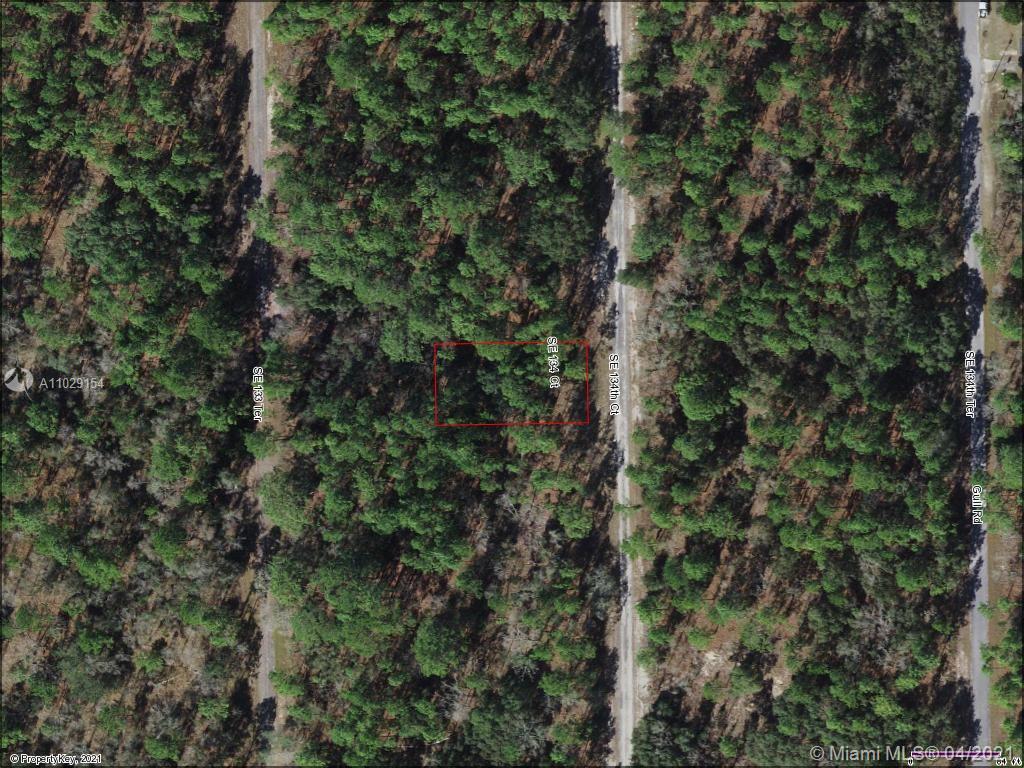 Lot 12 SE 134th Ct, Other City - In The State Of Florida, FL 34431